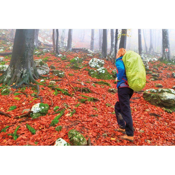 mo8575_68 Mo8575 68 Ambiant